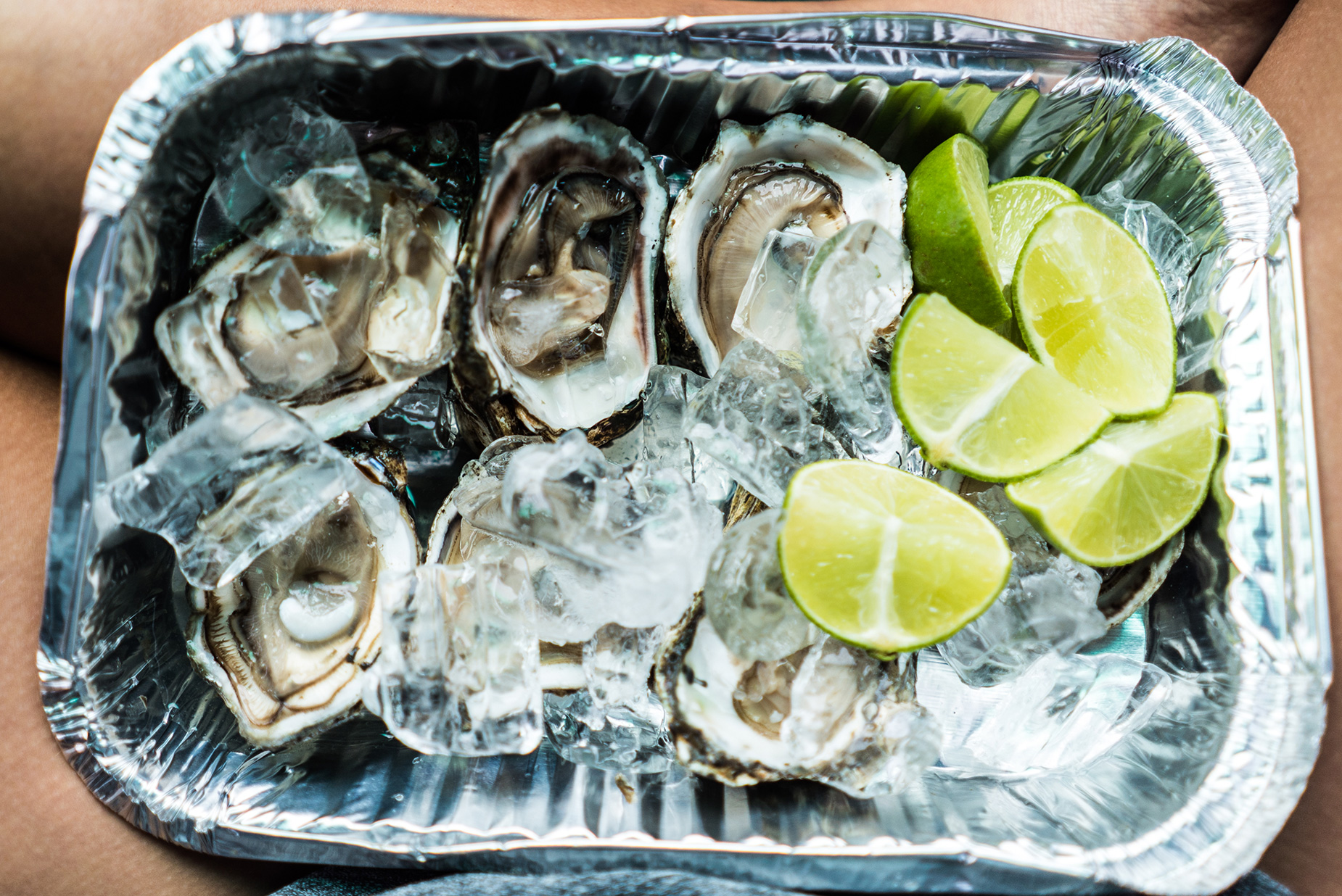 160514_Oysters_1504